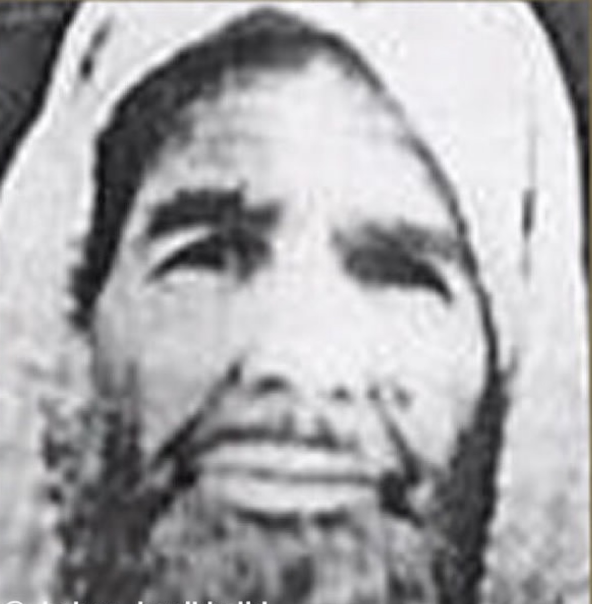 شامخ
